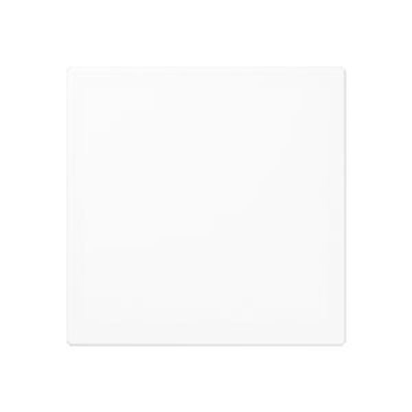 Blank centre plate A594-0PLWW image 1