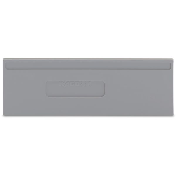 Separator plate 2 mm thick oversized gray image 1