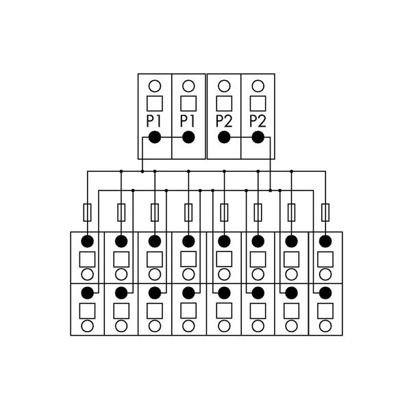 830-800/000-319 Potential distribution module; 2 potentials; with 2 input clamping points each image 5