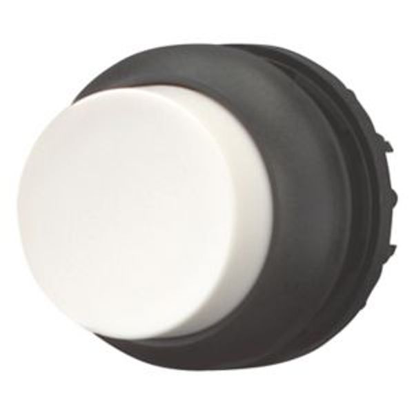 Pushbutton, RMQ-Titan, Extended, maintained, White, Blank, Bezel: black image 8