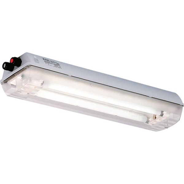 Ex-Linear light fitting with emergency light function for zone 1/21, Variant: eLLK 92018/18 V-CG-S 2/6-2K image 1