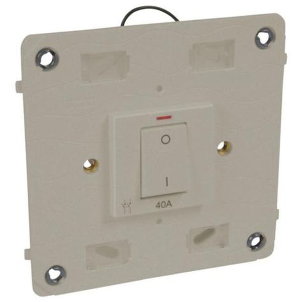 Arteor™ - Double pole switch - with neon - 40 A 250 V~ - 4''x4'' - Champagne image 1