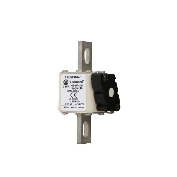 Fuse-link, high speed, 315 A, AC 690 V, compact size 1, 45 x 59 x 110 mm, aR, IEC, UL image 13