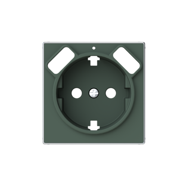 8588.3 CM Cover Schuko+USB chargers Wall socket Central cover plate Green - Sky Niessen image 1