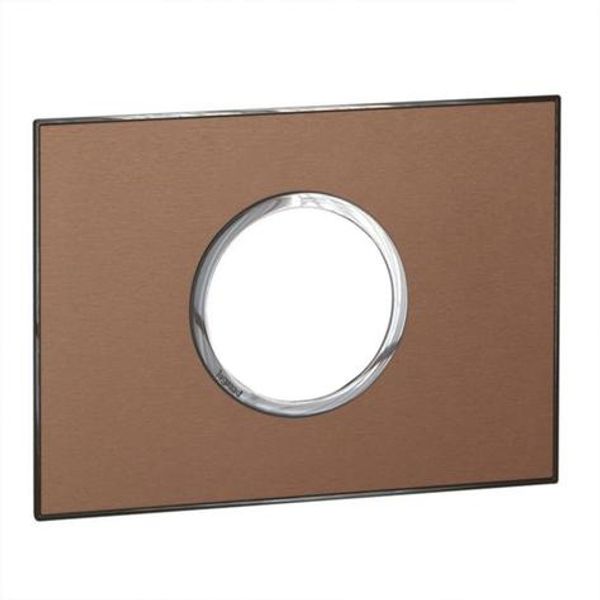 Italian / US standard plate Arteor round version 2 modules - brushed metal pink champagne image 1