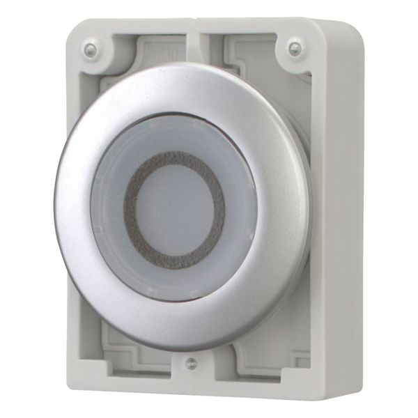 Illuminated pushbutton actuator, RMQ-Titan, Flat, momentary, White, inscribed 0, Metal bezel image 6