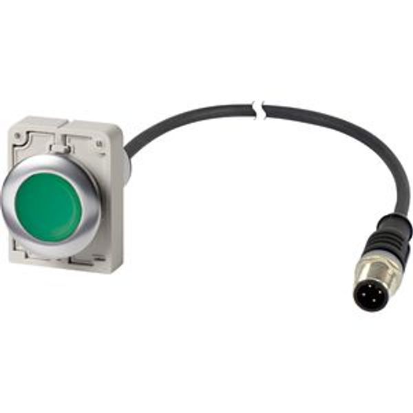 Illuminated pushbutton actuator, Flat, momentary, 1 N/O, Cable (black) with M12A plug, 4 pole, 1 m, LED green, green, Blank, 24 V AC/DC, Metal bezel image 2