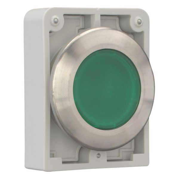 Illuminated pushbutton actuator, RMQ-Titan, flat, momentary, green, blank, Front ring stainless steel image 11