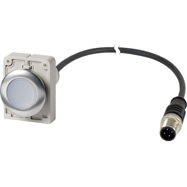 Illuminated pushbutton actuator, Flat, maintained, 1 N/O, Cable (black) with M12A plug, 4 pole, 1 m, LED white, White, Blank, 24 V AC/DC, Metal bezel image 3