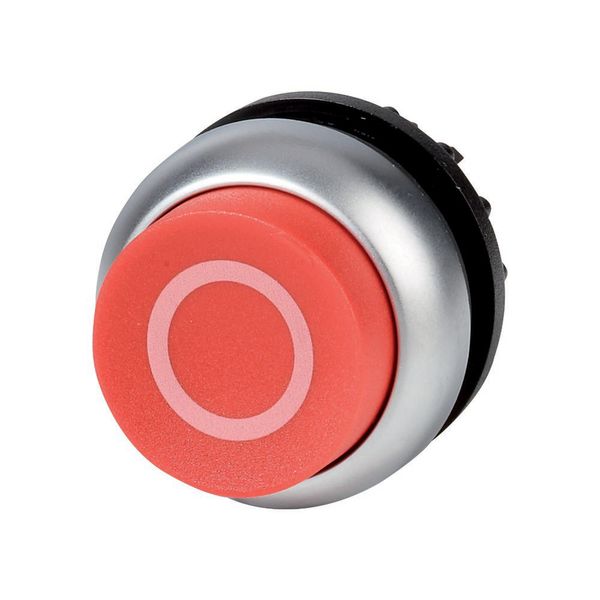 Pushbutton, RMQ-Titan, Extended, momentary, red, inscribed, Bezel: titanium image 5