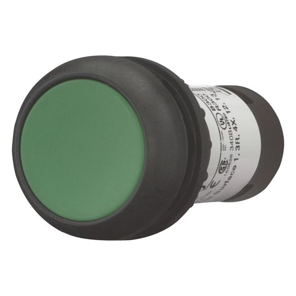 Pushbutton, Flat, momentary, 2 N/O, Screw connection, green, Blank, Bezel: black image 5