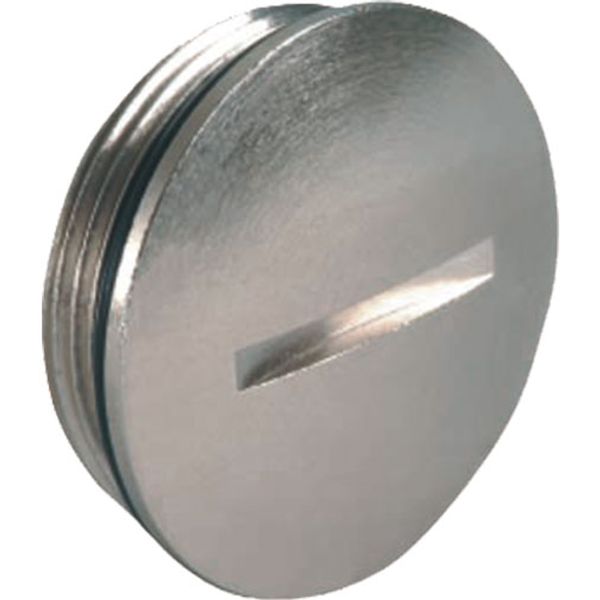 Locking screw brass M6x1.0 with o-ring NBR image 1