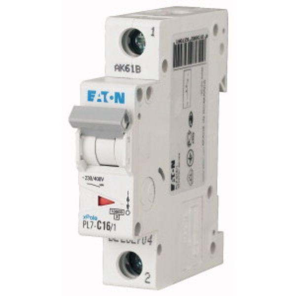 PL7-B2,5/1 Small circuit breaker, 10kA 1p (instead of 278524) image 2