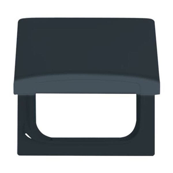 2118 GK-35 CoverPlates (partly incl. Insert) Flush-mounted, water-protected, special connecting devices Anthracite image 2