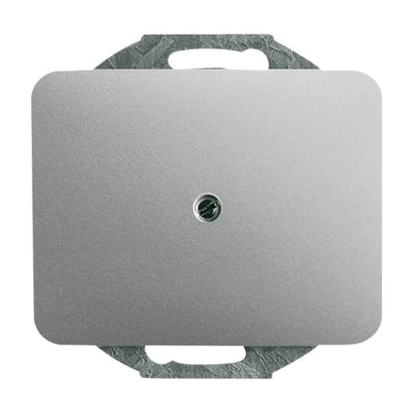 1742-266 CoverPlates (partly incl. Insert) carat® titanium image 2