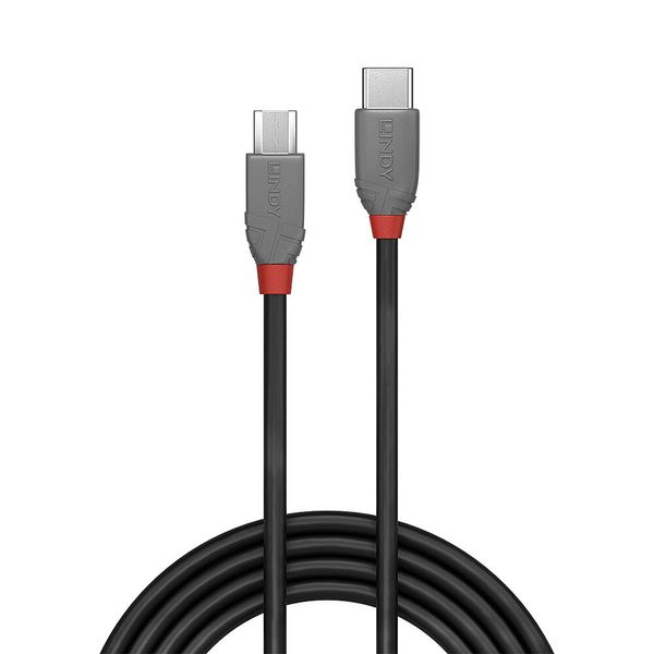 0.5m USB 2.0  Type C to Micro-B Cable, Anthra Line USB Type C Male to Micro-B Male image 2