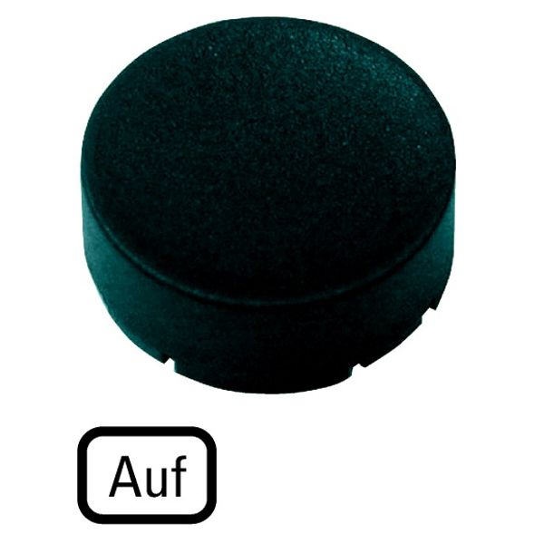 Button plate, raised black, UP image 1