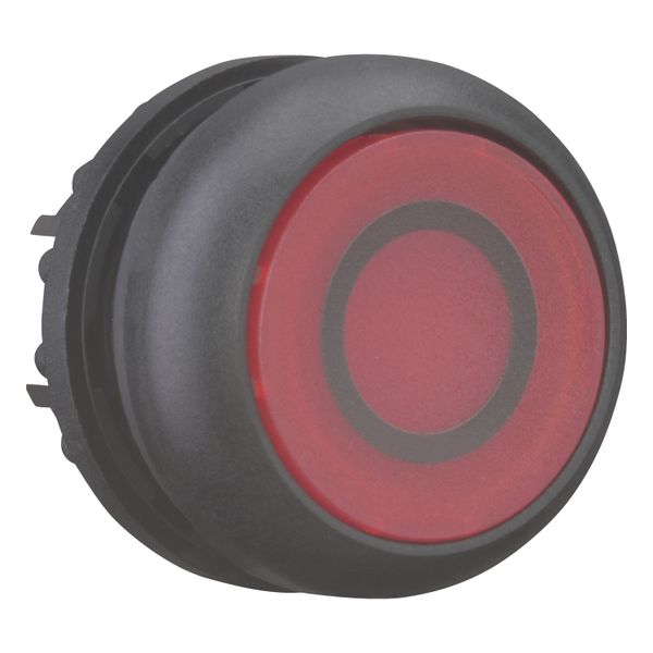 Illuminated pushbutton actuator, RMQ-Titan, Flush, momentary, red, inscribed, Bezel: black image 4