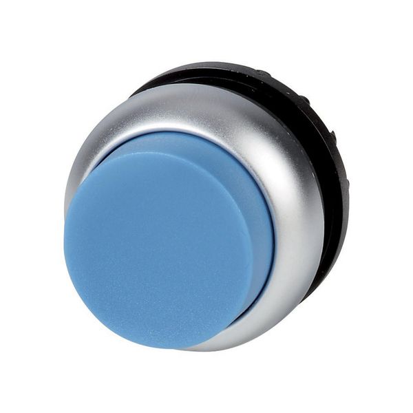 Pushbutton, RMQ-Titan, Extended, maintained, Blue, Blank, Bezel: titanium image 2