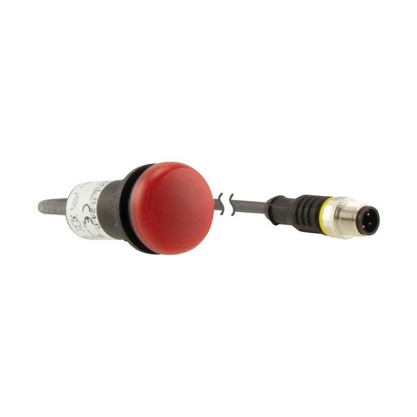 Indicator light, Flat, Cable (black) with M12A plug, 4 pole, 1 m, Lens Red, LED Red, 24 V AC/DC image 14