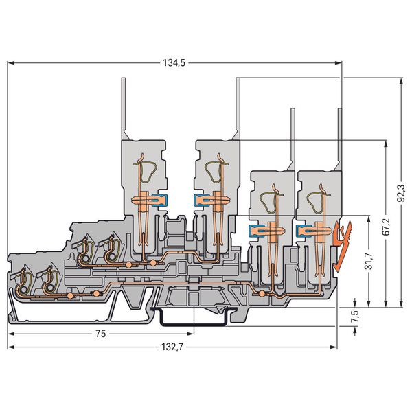 2-conductor/2-pin, double-deck carrier terminal block Through/through image 3