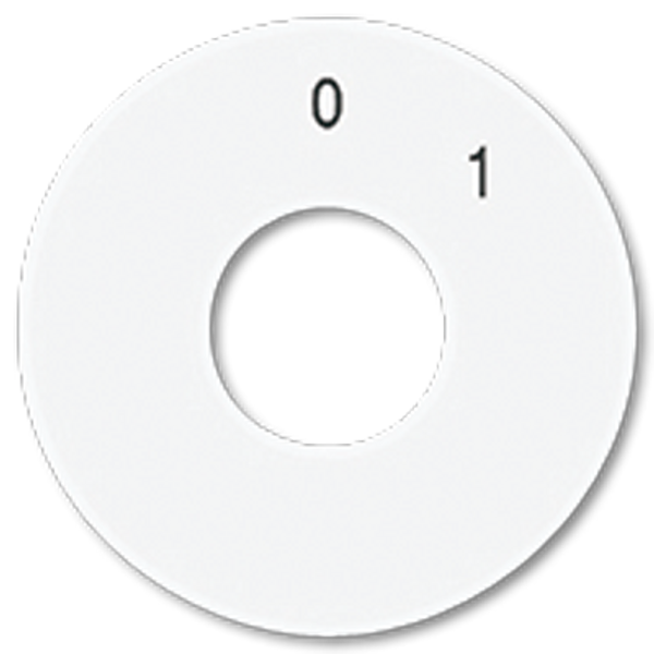 Spare scale disc SKS1101-20WW image 1