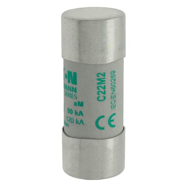 Fuse-link, LV, 2 A, AC 690 V, 22 x 58 mm, aM, IEC image 19