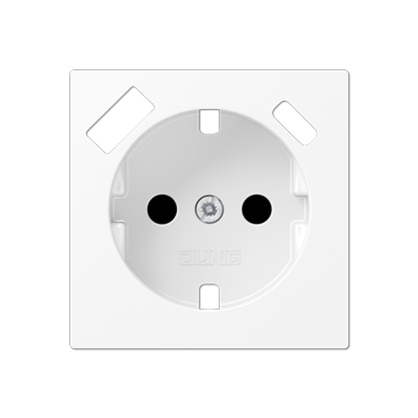 Centre plate SCHUKO® sockets A1520-15CAPLWWM image 1