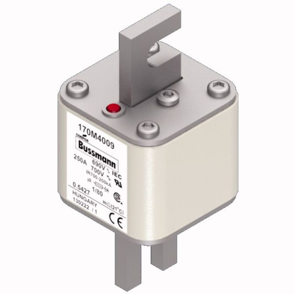 Fuse-link, high speed, 250 A, AC 690 V, DIN 1, 53 x 53 x 108 mm, aR, DIN, IEC, single indicator image 2