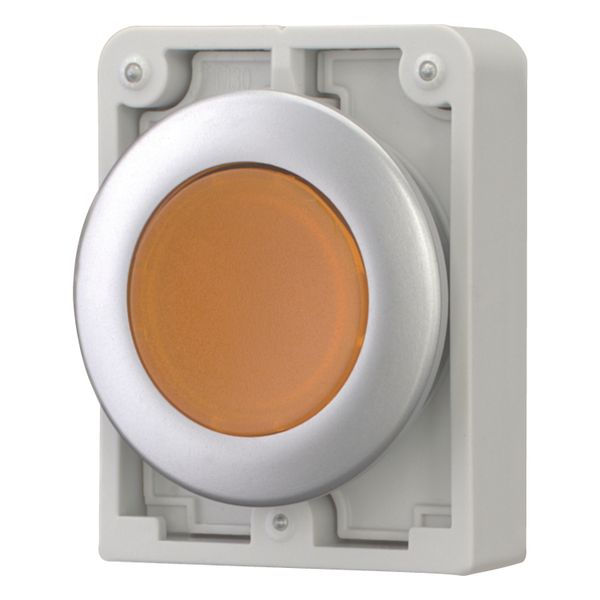 Illuminated pushbutton actuator, RMQ-Titan, Flat, maintained, orange, Blank, Metal bezel image 3