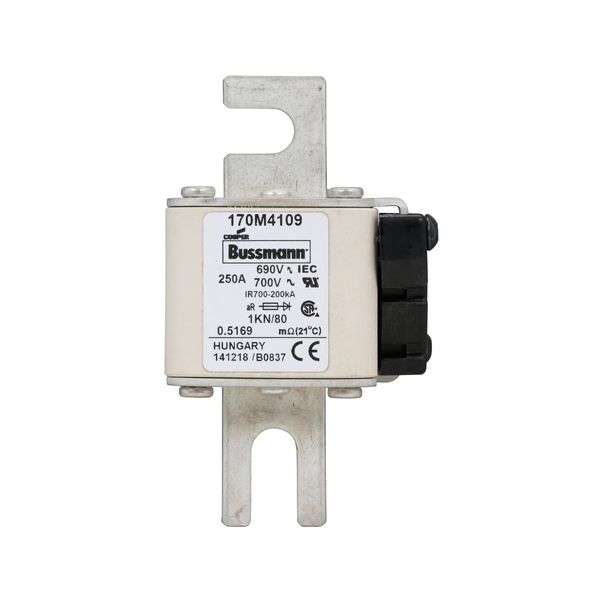 Fuse-link, high speed, 250 A, AC 690 V, DIN 1, 53 x 69 x 108 mm, aR, DIN, IEC, single indicator image 12