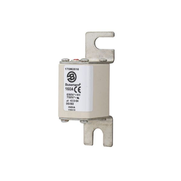 Fuse-link, high speed, 160 A, AC 690 V, DIN 00, 30 x 51 x 100 mm, aR, DIN, IEC, single indicator image 14