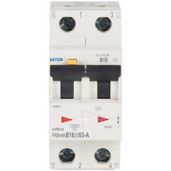 RCD/MCB combination, 16 A, 300 mA, MCB trip characteristic: B, 2p, RCD trip characteristic: A image 2