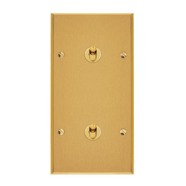 67204 Art d'Arnould universe Memory two two-way switch or lever switch 10A - brushed gold image 1