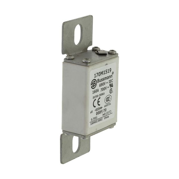 Fuse-link, high speed, 160 A, AC 690 V, size 000, 24 x 36 x 96 mm, aR, IEC, visual indicator image 18