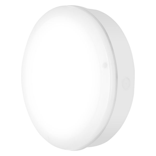 SURFACE BULKHEAD 250 EMERGENCY 10W 840 WT IP65 image 8