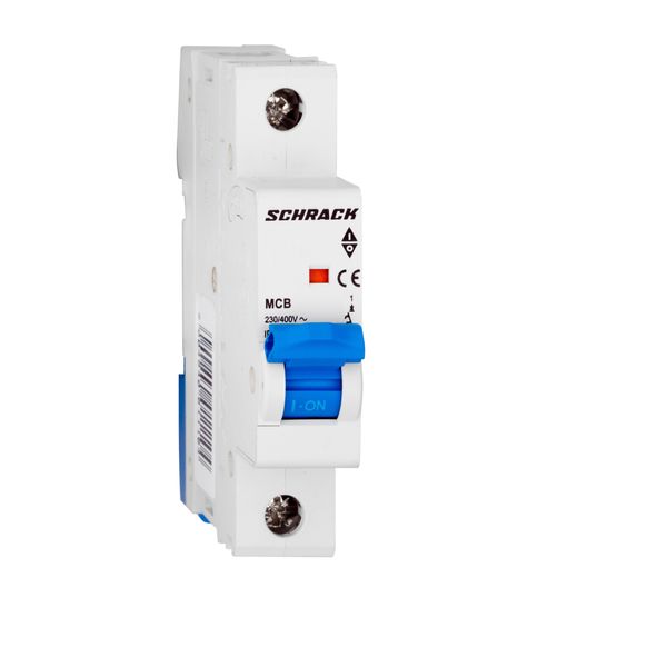 Miniature Circuit Breaker (MCB) AMPARO 10kA, D 1A, 1-pole image 1