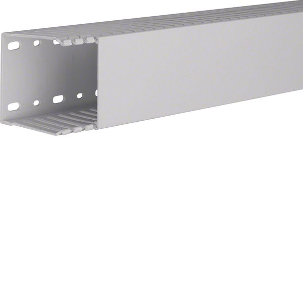 HNG 75075/0 Grey 7035 Trunking image 1