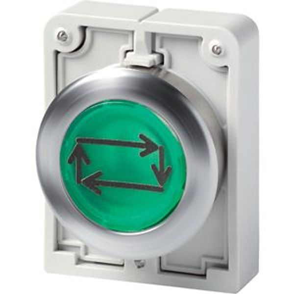 Illuminated pushbutton actuator, Flat Front (drilling dimensions 30.5 mm), flat, momentary, green, inscribed, Front ring stainless steel image 2