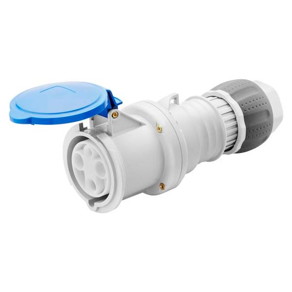 STRAIGHT CONNECTOR HP - IP44/IP54 - 2P+E 63A 200-250V 50/60HZ - BLUE - 6H - MANTLE TERMINAL image 2