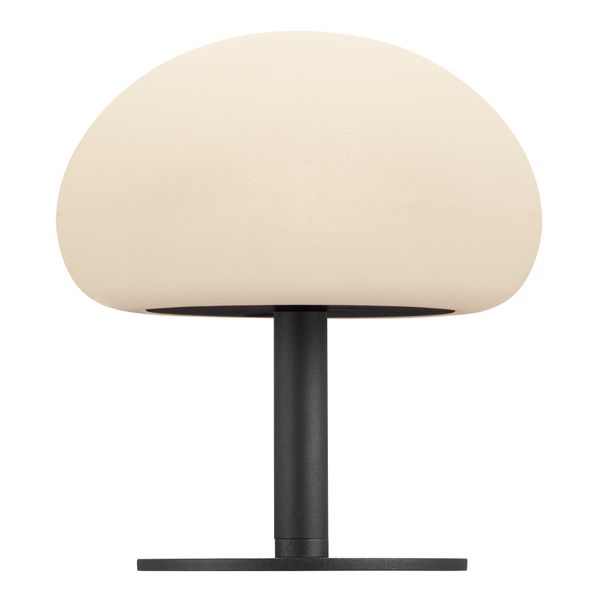 Sponge 20 | Table | Black/wh. image 1