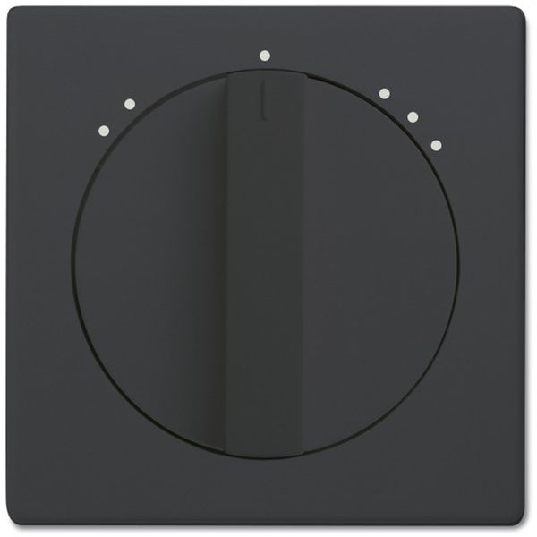 1740 DRL-81-503 CoverPlates (partly incl. Insert) future®, Busch-axcent®, carat®; Busch-dynasty® Anthracite image 1