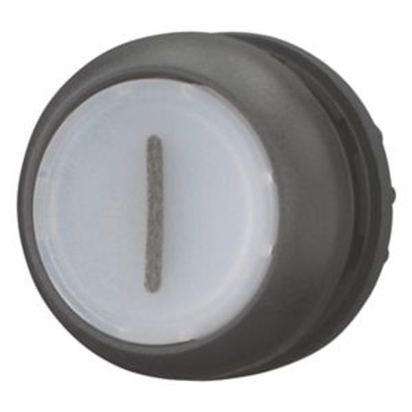 Illuminated pushbutton actuator, RMQ-Titan, Flush, maintained, White, inscribed 1, Bezel: black image 8