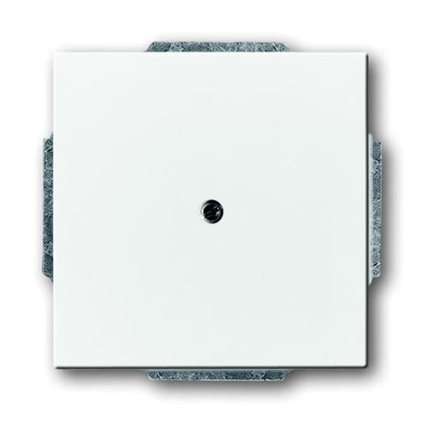 1766-84-500 CoverPlates (partly incl. Insert) future®, Busch-axcent®, solo®; carat® Studio white image 3