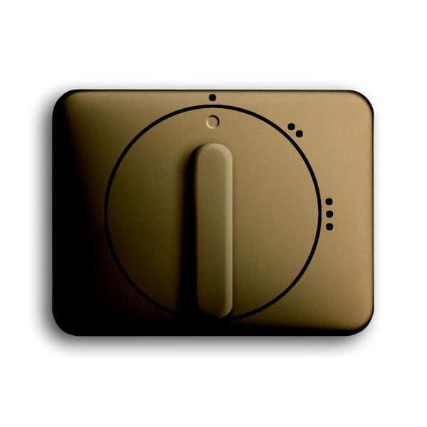 2542 DR/02-21 CoverPlates (partly incl. Insert) carat® bronze image 1