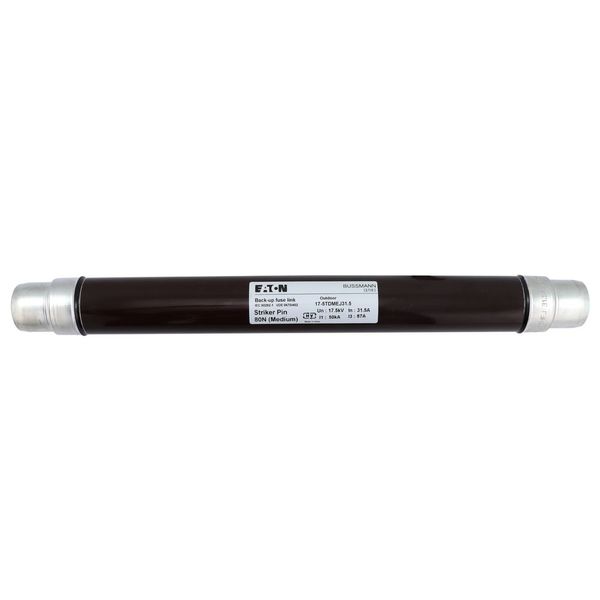 Fuse-link, medium voltage, 31.5 A, AC 17.5 kV, 2", 51 x 442 mm, back-up, DIN, with striker image 14