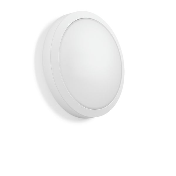 ROUNDED, 4,5...10 W, 450...1150 lm, 830, 840, white, on/off Ceiling an image 1