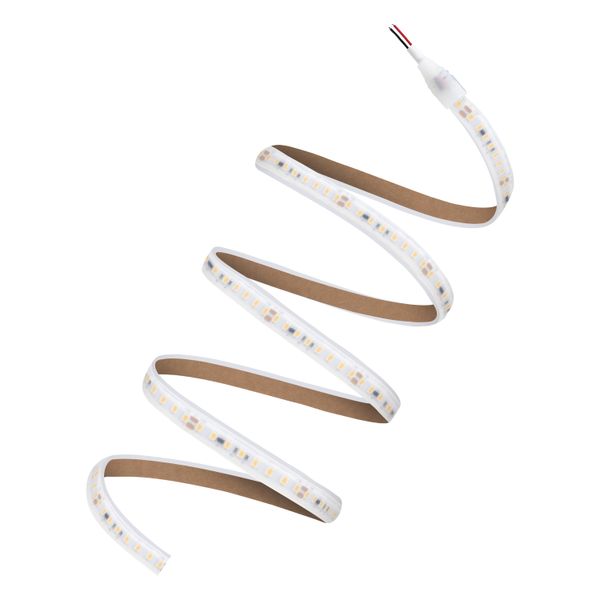 LED STRIP P 1000 P -1000/965/5/IP67 image 4