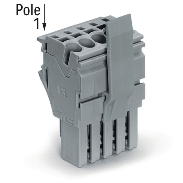 1-conductor female connector Push-in CAGE CLAMP® 4 mm² gray image 2