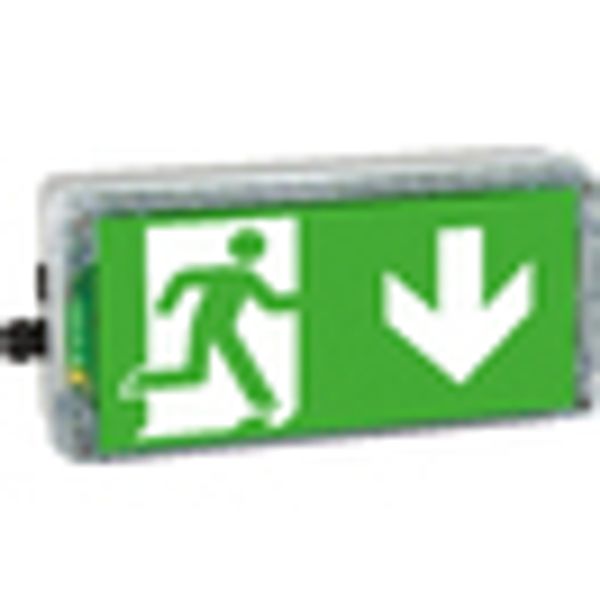 EX-protected emerg.luminaire EXIT N zone1/21 LED 3h 230V AC image 2